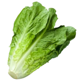 خس